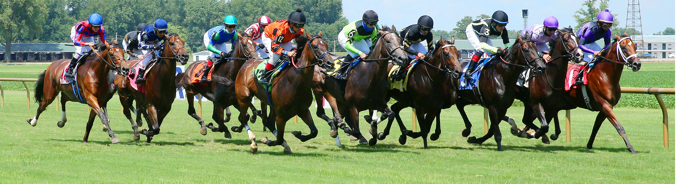 group of horses and their jockeys racing